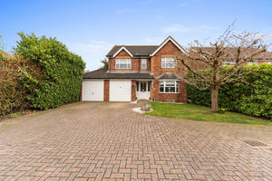 Photo 65- click for photo gallery